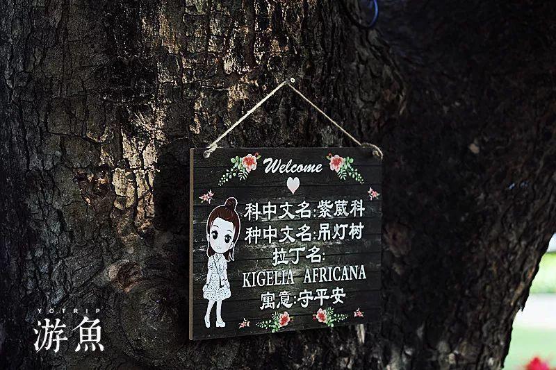 桂阳职校:践行“楚怡”精神 打造“工匠摇篮”