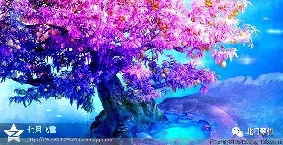 海底的秘密